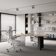 SIHOO C300 Pro Ergonomic Mesh Office Chair with Footrest, Big and Tall Home Desk Chair with Soft 6D Arms, Dynamic Lumbar Support, Gaming & Executive Computer Chairs - Gray