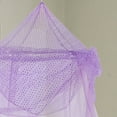 thumbnail image 4 of Raisinette Bed Canopy with Collapsible Hoop for Kids, 4 of 4