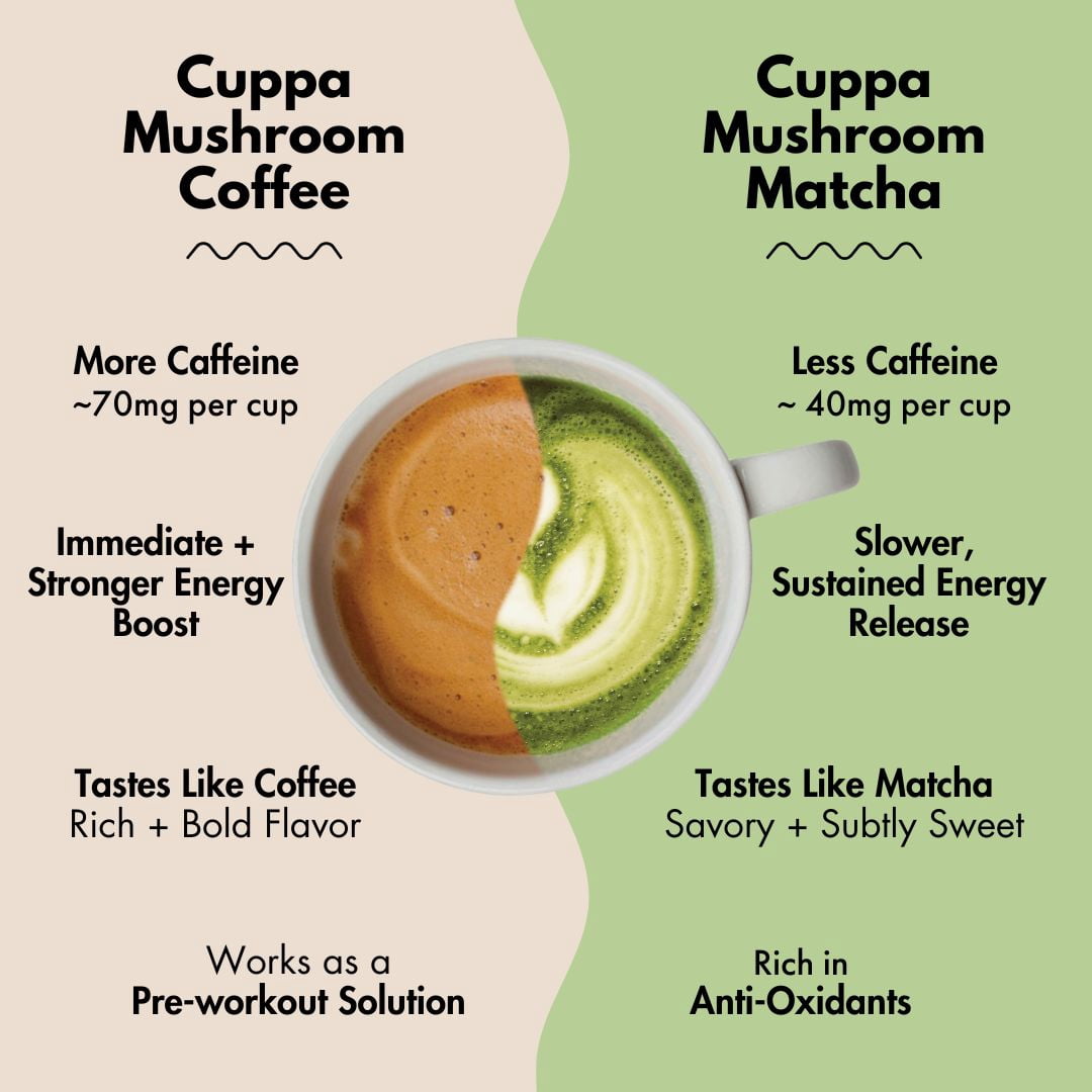 Mushroom Matcha (60 Servings)