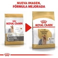 thumbnail image 3 of Alimento Royal Canin Breed Health Nutrition Yorkshire Terrier perro adulto raza pequeña 4.5kg Royal Canin Yorkshire Terrier, 3 of 3