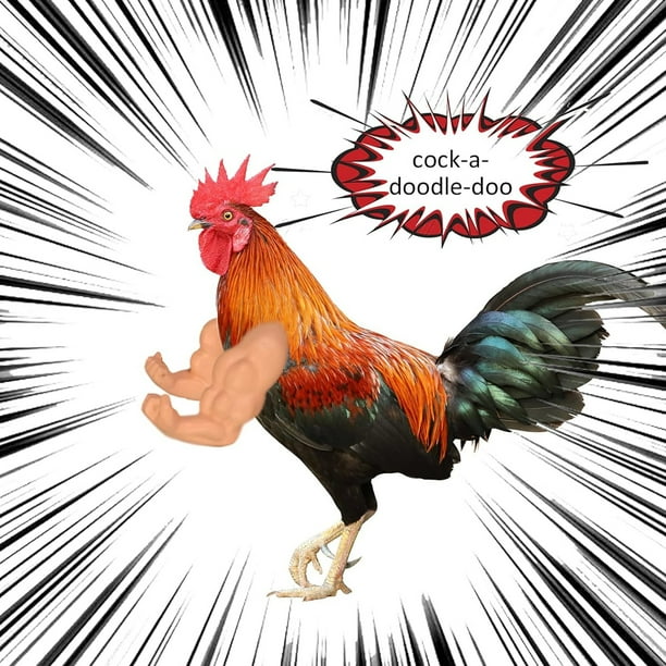 Décoration Bras Poulet, Bras Musculaires Poulet, Costumes Incroyables Poulets, Farce, Bras Poulet, Costume drôle, Bras Combat, Costume Cosplay fête à thème Farce pour Animaux Compagnie (Color : 5