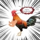 thumbnail image 3 of Juguetes de brazos de pollo musculosos para que los pollos usen, disfraz divertido, juguete de brazos de lucha con puños para fiesta temática de broma de mascotas, 3 of 6