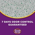 Scoop Away Complete Performance Clumping Cat Litter, Scented, 42 Pounds