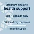 thumbnail image 4 of Life Extension FLORASSIST GI with Phage Technology, digestive health, probiotic support, nutrient absorption, 7 probiotic strains, bacteriophage blend, 30 liquid vegetarian capsules, 4 of 11