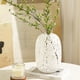 thumbnail image 4 of Jarrón de cristal con lunares blancos, adorno decorativo, arreglo floral, decoración del hogar, 4 of 7