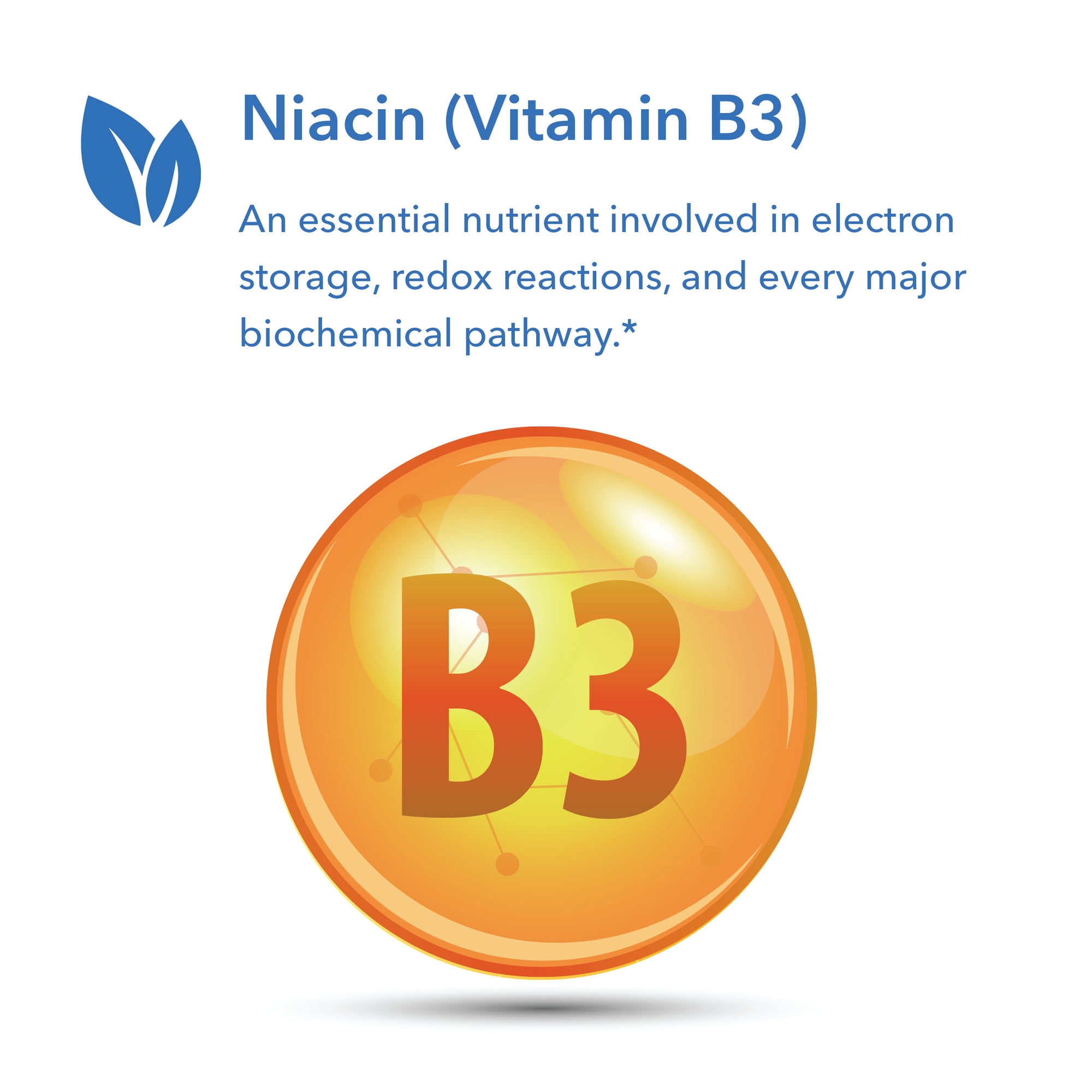Buy Allergy Research Group Niacin Vitamin B3, Nicotinic Acid 90