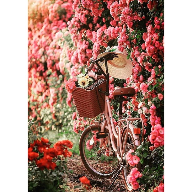 Taladro diamante pintura (DB5564) Kit completo DIY bicicleta mosaico imagen hogar pared decoración 30x40cm FLhrweasw Nuevo
