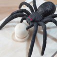 thumbnail image 4 of Spider Money Surprise Box Rubber Spider Prank Box Handmade Spider Prank Box Funny Toys, 4 of 4