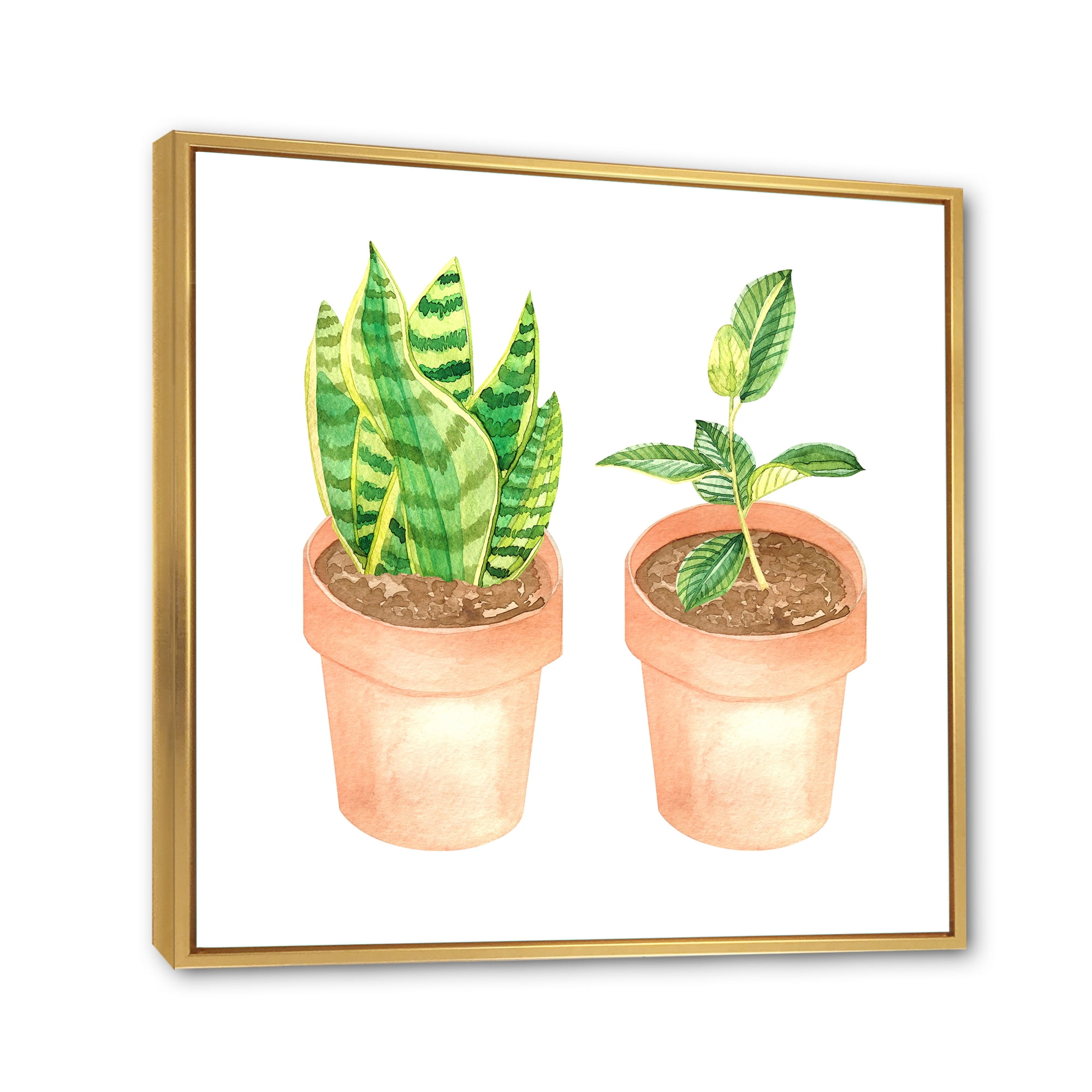 Ficus and Sansevieria Indoor Green Home House Plants 36 in x 36 in Framed Painting Canvas Art Print, by Designart