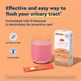 thumbnail image 3 of Uqora Flush - Urinary Tract* with D-Mannose, Vitamin C, Vitamin B6, Potassium, Magnesium & Calcium - Gluten-Free & Vegan - Pink Lemonade Flavor - 20 Packets (2 Pack), 3 of 7