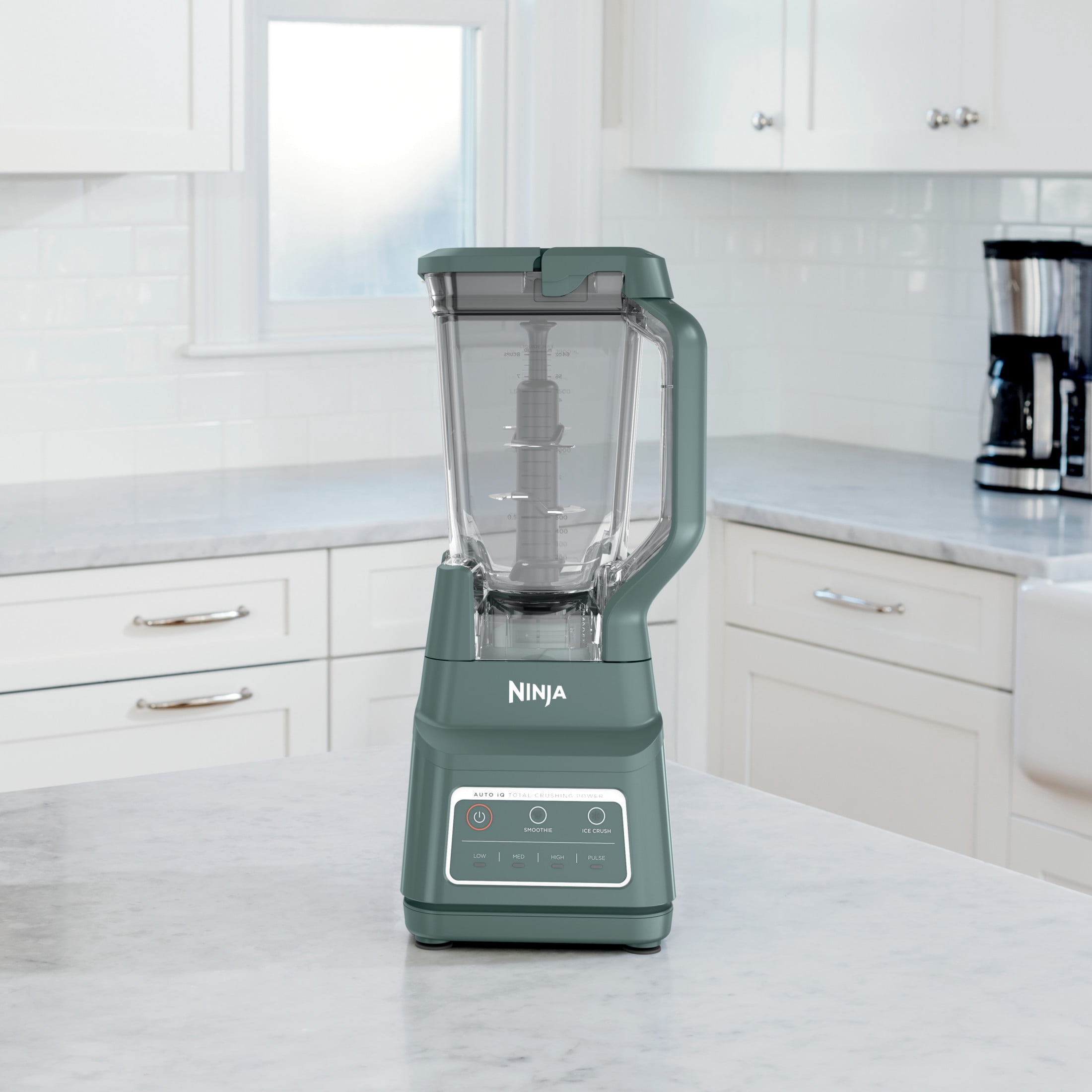 Ninja Professional Plus Blender, Smoothies, Ice Crush with 2 Auto-iQ Preset Programs, 1200W, 72 Oz, BN700 Sage