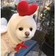 thumbnail image 2 of Pet Clothes Dog Hoodies Warm Sweatshirt Coat Puppy Autumn Winter Apparel Jumpsuit with Love Hood, Love, M, 2 of 4