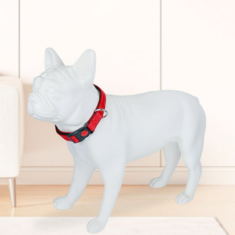 Dog collar with buckle closure deals