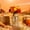 A, variant on Emdiqzs Fall Decor Thanksgiving Decor Rustic Glass Vase with Rope Handle for Home Decor Clear Brown