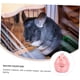 thumbnail image 4 of Bebedero de cerámica para hámster, alimentador de agua para mascotas, Animal PEQUEÑO, botella de agua, dispensador de agua para gatos, alimentador de agua para hámster, 1 ud., 4 of 5