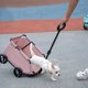 thumbnail image 5 of Carrito para Cachorros Y Gatos Bebé Con 4 Ruedas Ideal Salidas Pequeñas, 5 of 9