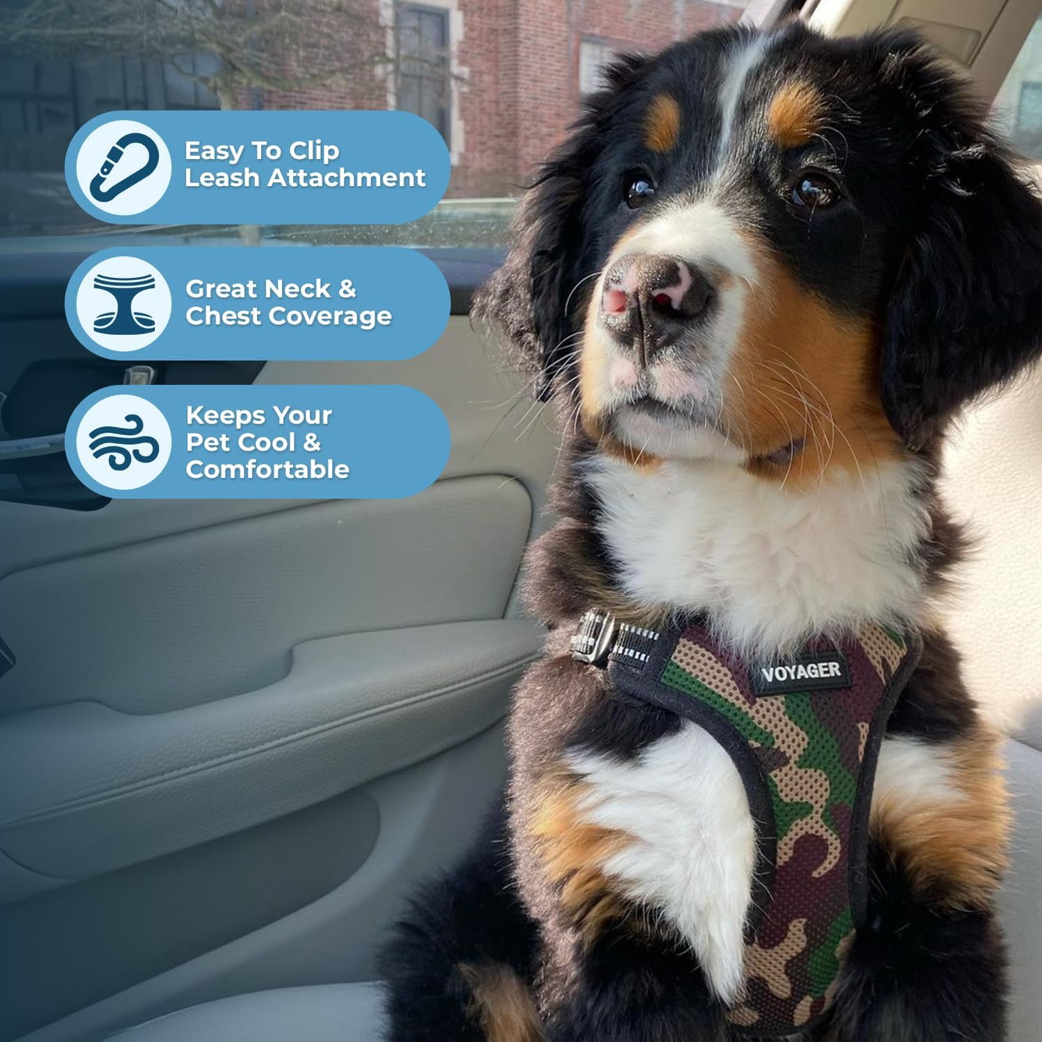 Best Pet Supplies Voyager Step-In Flex Adjustable Mesh Dog Harness