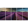 thumbnail image 2 of Lavender Field and Dramatic Sky - Floral Canvas Art Print, 2 of 3