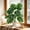 GreenC, variant on Fake Plants Large Artificial Faux Potted Plants Indoor Tall for Outdoor Living Room House Floor Front Porch Tree Decor