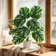 thumbnail image 1 of Artificial Monstera Deliciosa Bonsai Indoor Artificial Plants Desktop Ornament Suitable For Home Decoration In Living Rooms Offices And Bedrooms, 1 of 6