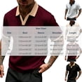 thumbnail image 3 of Men's Textured Knit Polo Shirt, Contrast Collar V Neck Short Sleeve Casual Top for Everyday Wear Wine, 3 of 5