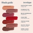 thumbnail image 4 of TRE'STIQUE treStiQue Matte Lip Crayon, Matte Lipstick With Built-in Lip Gloss Balm, 2-in-1 Lip Liner Set With Lip Crayon and Lip Balm, Lipstick and Lip Gloss Balm Lip Kit (Chile Red Refillable), 4 of 6