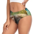 thumbnail image 2 of Balery Daisy Sleeping Sloth Ropa Interior de Algodón para Mujer con Dibujo – Braguitas Cómodas y Elásticas, Estilo Clásico-X-Large, 2 of 6