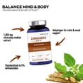 thumbnail image 2 of Granions KSM66 Ashwagandha Supplements - 1,050 mg, 5% Withanolides - Vegan Stress & Focus Support - 90 Capsules, 2 of 9