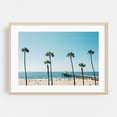 thumbnail image 2 of Palms, Manhattan Beach 03 - Los Angeles California Photography Unframed Wall Art Print 30 x 40 inches, 2 of 9