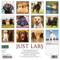 thumbnail image 2 of Just Labs 2023 Wall Calendar (Other), 2 of 4