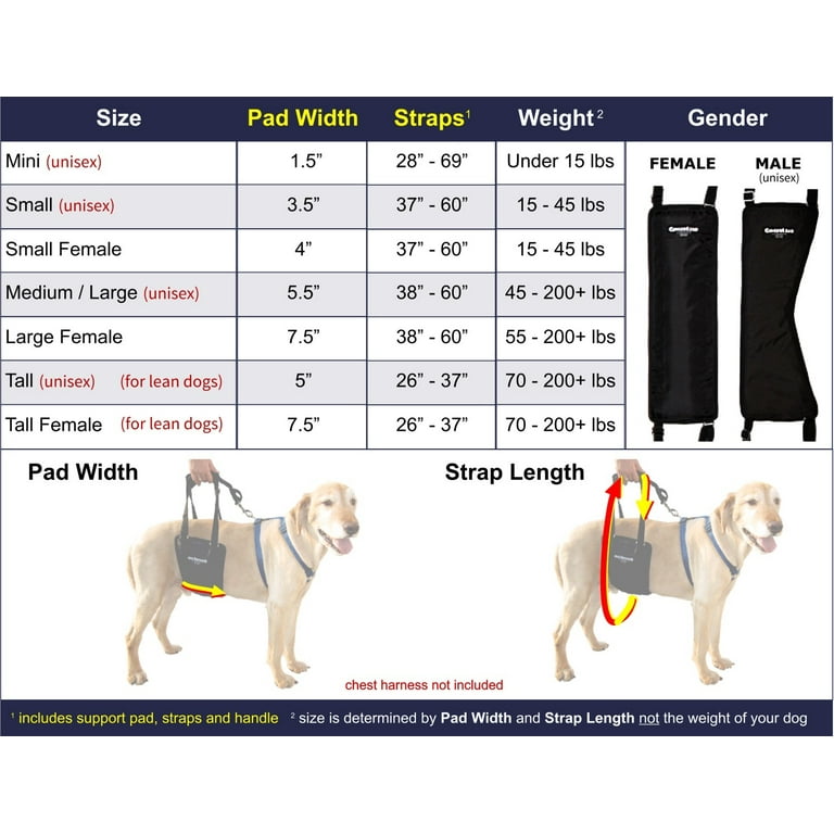 GingerLead Dog Support u0026 Rehabilitation Harness - Lg Female Sling -  Walmart.com