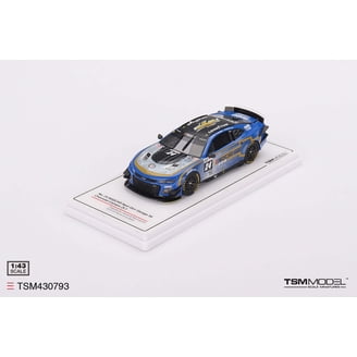 Topspeed 1:18 2024 Le Mans Lamborghini GT3 EVO2 Resin Model Car Hobby adult Gift