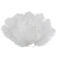 thumbnail image 1 of SODIAL(R) 10 piezas blanco avestruz Natural pluma 20-25cm boda DIY, 1 of 1