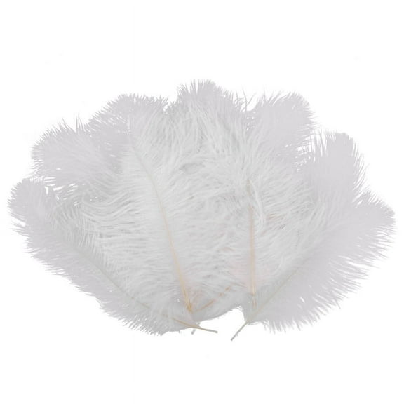 10 Pieces White Natural Ostrich 20-25cm Wedding DIY,1 Bag of Ostrich Feather(10 pc),White