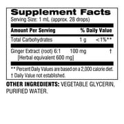 Botanic Choice Ginger Root Extract Liquid, Herbal Health Supplements- 1 Fl Oz