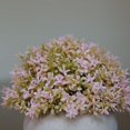 thumbnail image 4 of Bola de césped artificial en maceta, simulación de hierba, decoración de plantas, decoración de la mesa de la oficina en casa, hierba tipo 3, rosa Advancent HA7593-04B, 4 of 6