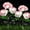 Pink, variant on Harpi Solar Lights Outdoor Clearance, Solar Garden Lights Decor, Waterproof Hydrangea Garden Stake Lights Realistic LED Flowers Solar Powered Decorative Lights for Lawn Yard Backyard Gifts