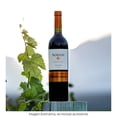 thumbnail image 2 of Vino Tinto Norton Reserva Malbec 750 ml, 2 of 4
