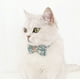 thumbnail image 3 of Collar para perro niña con correa y hijab ajustable con flores para mascotas, 3 of 5