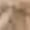 C-Khaki50, variant on DHFJKG Dress Girls Summer Dresses V Neck Casual Bowknot Tank Dress For Toddlers 1-6 Years Elastic Waist Cotton Breathable Comfortable Solid Color Trendy Sundress