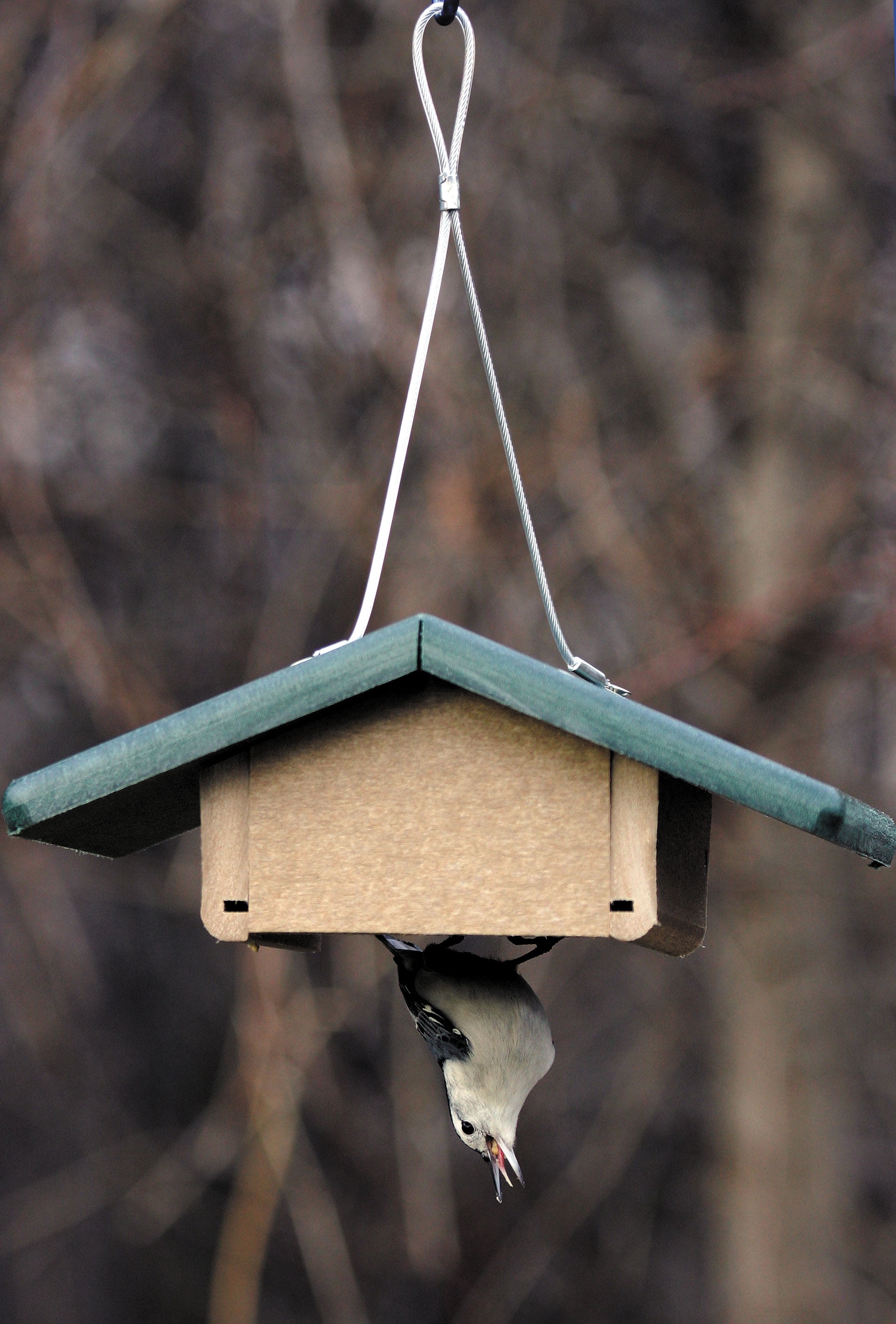 Birds Choice 4.25" Upside Down Recycled Materials Suet Seed Block Feeder, Taupe/Green