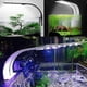 thumbnail image 4 of Aquarium light LED white and blue light nano clip lighting, 4 of 5