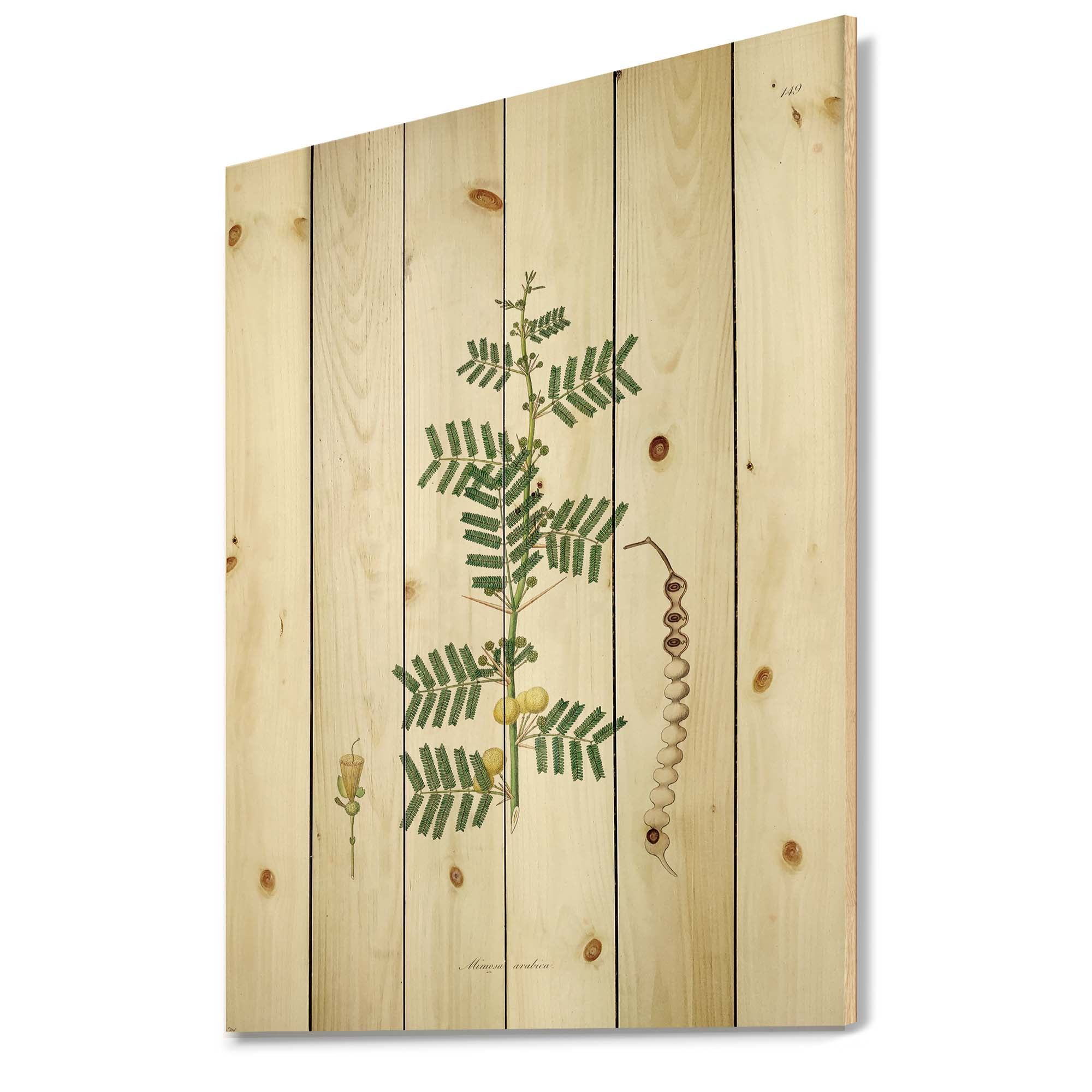 Designart 'Ancient Blossoming Flower III' Farmhouse Print on Natural Pine Wood