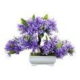 thumbnail image 1 of Bonsái artificial Planta artificial Decoración Escritorio Oficina Dormitorio Pequeño Falso Violeta, 1 of 9