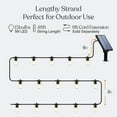 thumbnail image 2 of Brightech Ambience Pro Solar Power LED Edison Bulb Outdoor String Lights, 48 Ft, 2 of 6