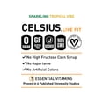 thumbnail image 4 of CELSIUS Sparkling Tropical Vibe, Functional Essential Energy Drink, 12 Fl Oz (Pack of 24), 4 of 5