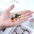 thumbnail image 6 of 30 Pieces Colorful Acrylic for Butterfly Bracelet Pendant for Jewelry Necklace Earring Crafting Accessory, 6 of 9