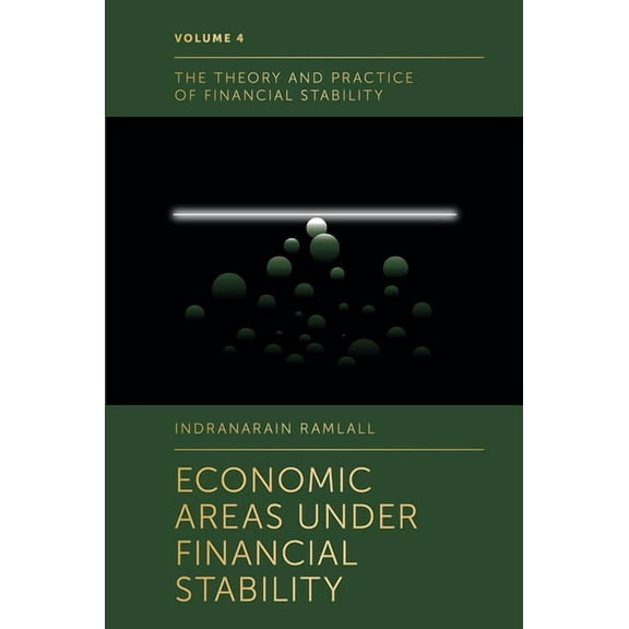 Theory and Practice of Financial Stabili Economic Areas Under Financial Stability, Book 4, (Hardcover)