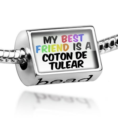 Bead My best Friend a Coton de Tulear Dog from Madagascar Charm Fits All European (Best Brush For Coton De Tulear)