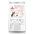 thumbnail image 2 of Hill's Science Diet Perfect Digestion Whole Grain Salmon, Oats & Rice Dry Dog Food, 12lb Bag, 2 of 8